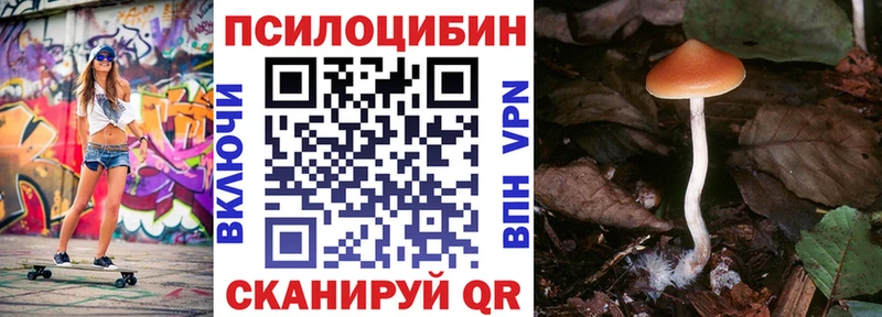 Галлюциногенные грибы прущие грибы Купить где Тотьма